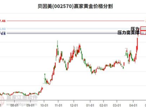002570股票,股价上涨5.18%，涨跌额0.34元