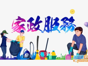 家政服务公司,多元化服务与专业化的未来趋势
