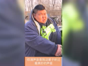 娱乐斌斌,揭秘娱乐圈背后的故事与精彩瞬间