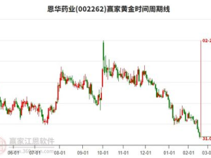 恩华药业股票,揭秘医药行业潜力股的崛起之路