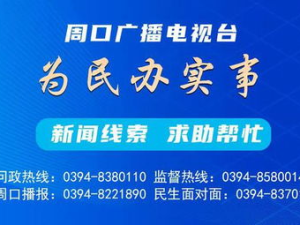 周口人事考试网,揭秘公务员考试流程与备考策略